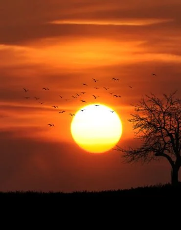 Spirituality And….