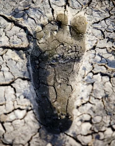 Narratives, Persons, Communities