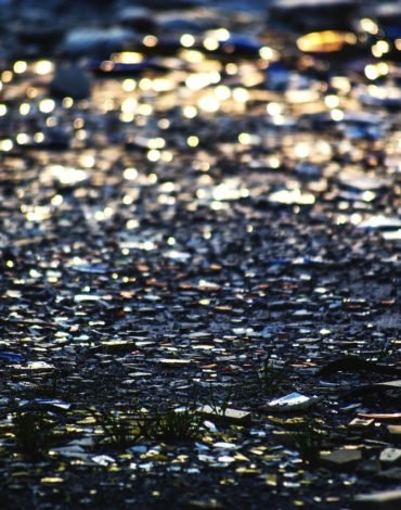 Violence: Interdisciplinary Perspectives